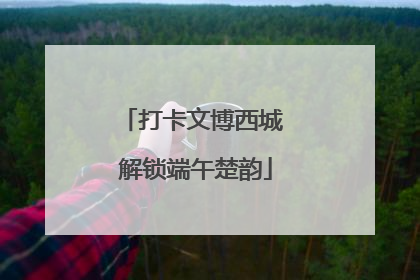 打卡文博西城 解锁端午楚韵