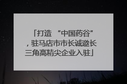 打造 “中国药谷”，驻马店市市长诚邀长三角高精尖企业入驻