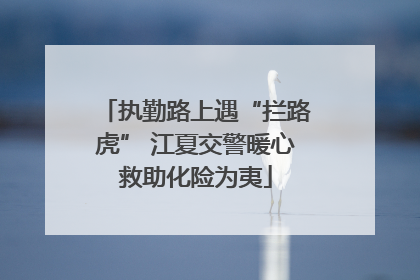执勤路上遇“拦路虎” 江夏交警暖心救助化险为夷