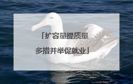 扩容量提质量 多措并举促就业
