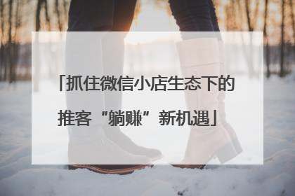 抓住微信小店生态下的推客“躺赚”新机遇