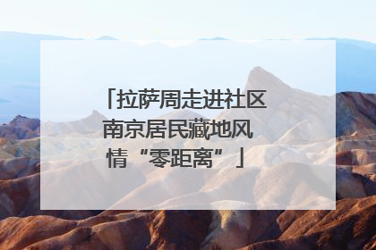 拉萨周走进社区 南京居民藏地风情“零距离”