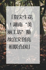 指尖生花！湖南“美丽工坊”随故宫文创亮相联合国