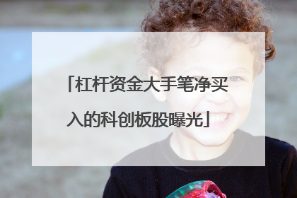 杠杆资金大手笔净买入的科创板股曝光