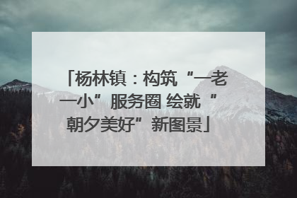 杨林镇：构筑“一老一小”服务圈 绘就“朝夕美好”新图景