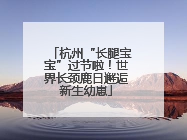 杭州“长腿宝宝”过节啦！世界长颈鹿日邂逅新生幼崽