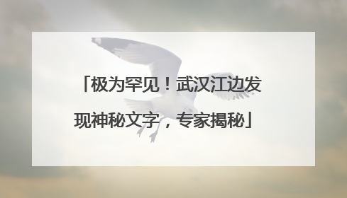 极为罕见！武汉江边发现神秘文字，专家揭秘