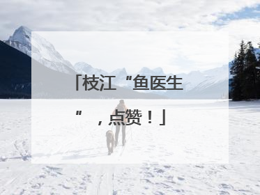 枝江“鱼医生”，点赞！