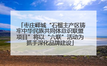 枣庄峄城“石榴主产区铸牢中华民族共同体意识联盟项目”将以“六联”活动为抓手深化品牌建设