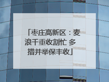 枣庄高新区：麦浪千重收割忙 多措并举保丰收