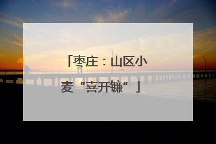 枣庄：山区小麦“喜开镰”
