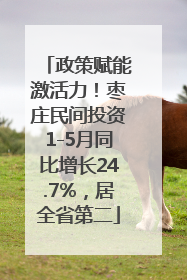 政策赋能激活力！枣庄民间投资1-5月同比增长24.7%，居全省第二