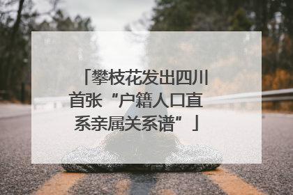 攀枝花发出四川首张“户籍人口直系亲属关系谱”