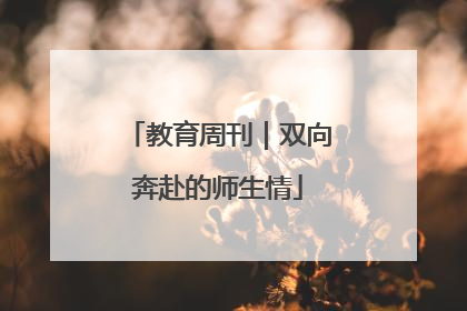 教育周刊｜双向奔赴的师生情