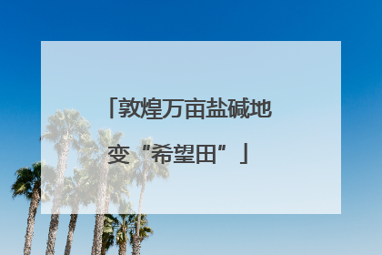 敦煌万亩盐碱地变“希望田”