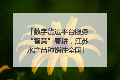 数字货运平台服务“智慧”春耕，江苏水产苗种销往全国