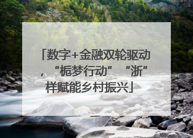 数字+金融双轮驱动，“栀梦行动”“浙”样赋能乡村振兴