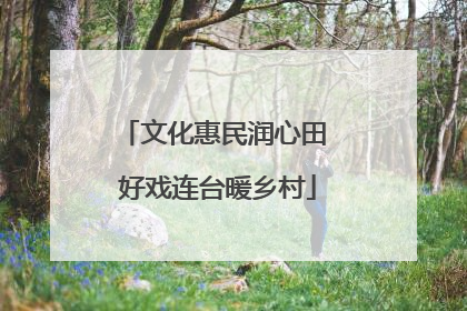 文化惠民润心田 好戏连台暖乡村