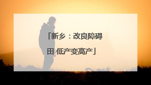 新乡：改良障碍田 低产变高产