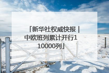 新华社权威快报｜中欧班列累计开行110000列