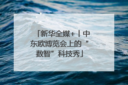新华全媒+丨中东欧博览会上的“数智”科技秀