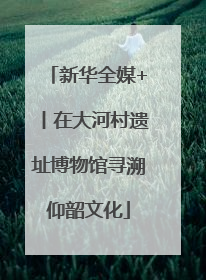 新华全媒+丨在大河村遗址博物馆寻溯仰韶文化