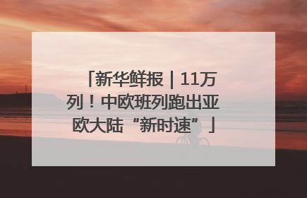 新华鲜报｜11万列！中欧班列跑出亚欧大陆“新时速”
