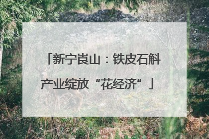 新宁崀山：铁皮石斛产业绽放“花经济”