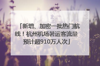 新增、加密一批热门航线！杭州机场暑运客流量预计超910万人次