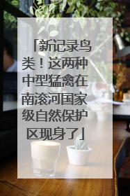 新记录鸟类！这两种中型猛禽在南滚河国家级自然保护区现身了