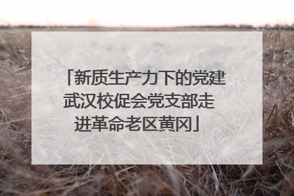 新质生产力下的党建 武汉校促会党支部走进革命老区黄冈