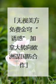 无视美方免费金穹“诱惑” 加拿大转向欧洲谋国防合作