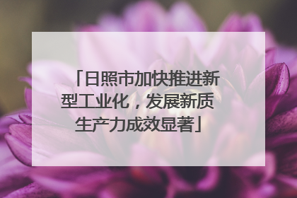 日照市加快推进新型工业化，发展新质生产力成效显著