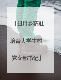 日月乡精准培育大学生村党支部书记