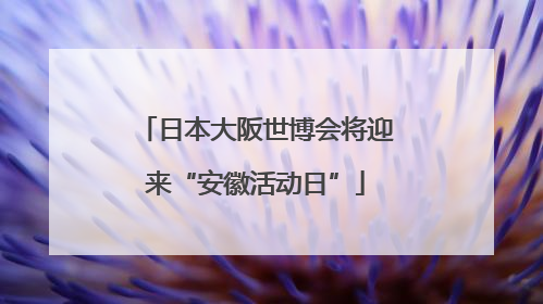 日本大阪世博会将迎来“安徽活动日”