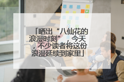 晒出“八仙花的浪漫时刻”，今天，不少读者将这份浪漫延续到家里