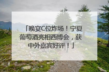 晚宴C位炸场！宁夏葡萄酒亮相西博会，获中外嘉宾好评！