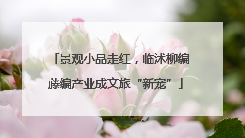 景观小品走红，临沭柳编藤编产业成文旅“新宠”