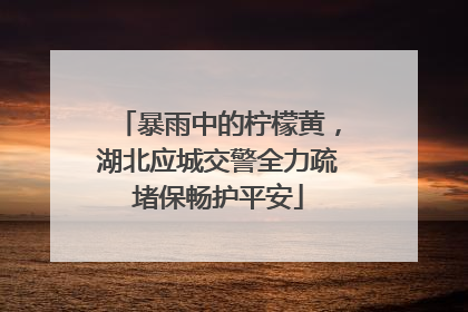 暴雨中的柠檬黄，湖北应城交警全力疏堵保畅护平安