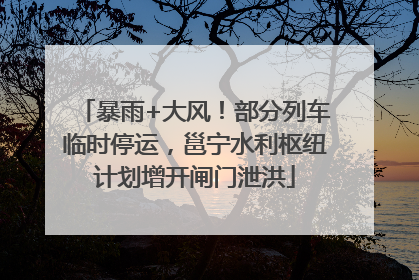 暴雨+大风！部分列车临时停运，邕宁水利枢纽计划增开闸门泄洪