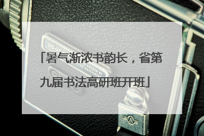 暑气渐浓书韵长，省第九届书法高研班开班