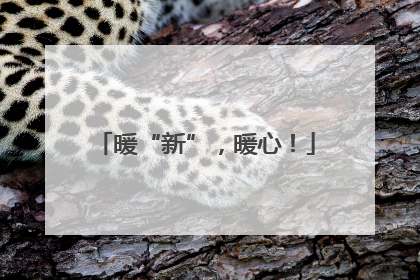 暖“新”，暖心！