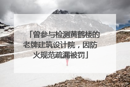 曾参与检测黄鹤楼的老牌建筑设计院，因防火规范疏漏被罚