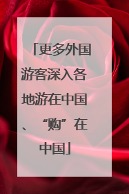 更多外国游客深入各地游在中国、“购”在中国