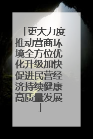 更大力度推动营商环境全方位优化升级加快促进民营经济持续健康高质量发展