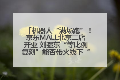 机器人“满场跑”！京东MALL北京二店开业 刘强东“等比例复刻”能否带火线下“618”？