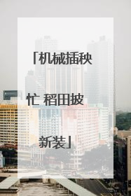 机械插秧忙 稻田披新装