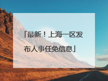 最新！上海一区发布人事任免信息