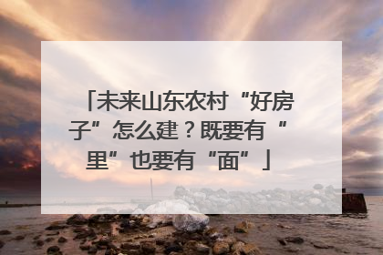 未来山东农村“好房子”怎么建？既要有“里”也要有“面”