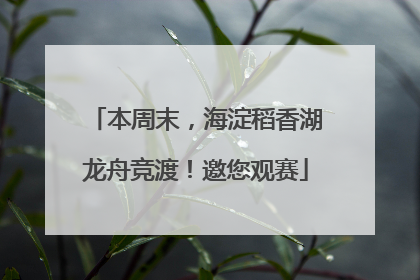 本周末，海淀稻香湖龙舟竞渡！邀您观赛
